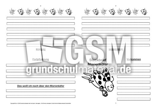 Marienkäfer-Faltbuch-vierseitig-6.pdf